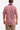 The Teddy Polo - Clemson Poppies