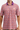 The Teddy Polo - Clemson Poppies