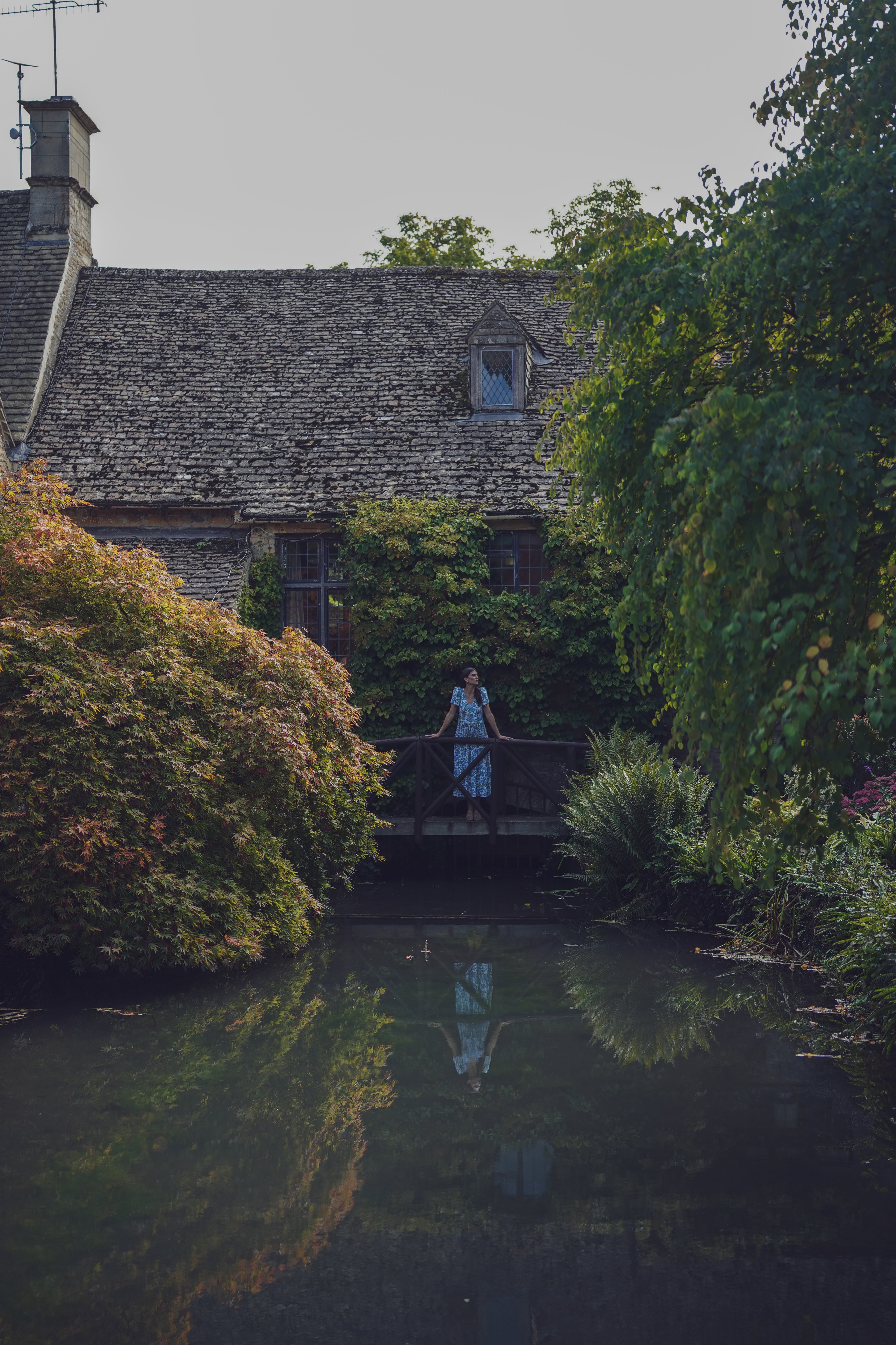 A Cottage Daydream
