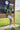 Jack Polo - Green Olive